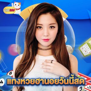 cat888 แทงหวยฮานอยวันนี้สด